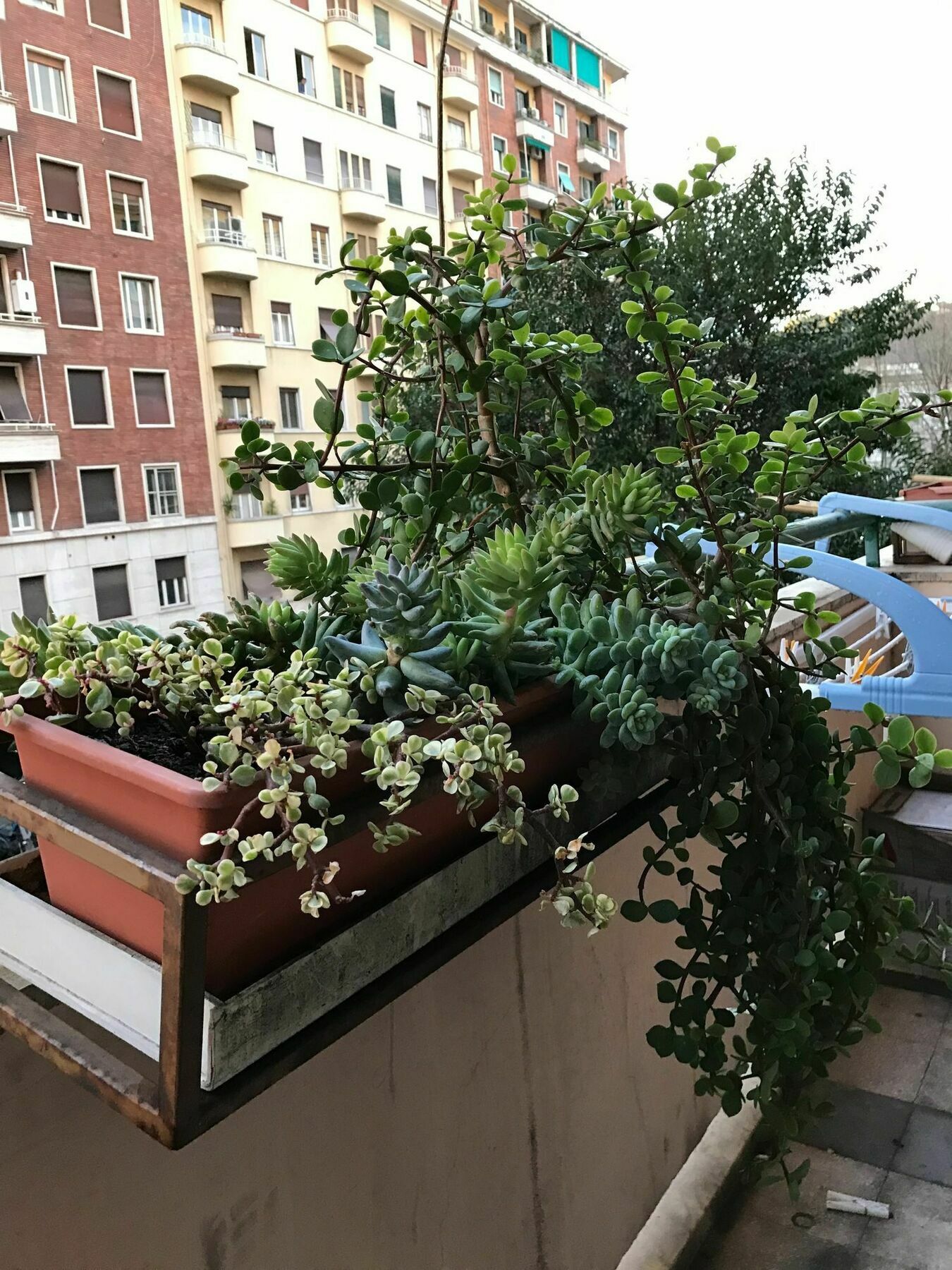 Pardis Guest House Рим Екстериор снимка